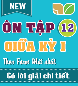Ôn tập Giữa kỳ I (TA_12)